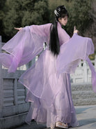 Elegant traditional Chinese costume with Wei Jin straight-hem design and flowing fairy-like silhouette.