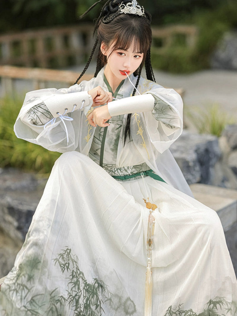 Wei Jin Dynasty Qiyao Ruqun Hanfu | Swordsman 少侠