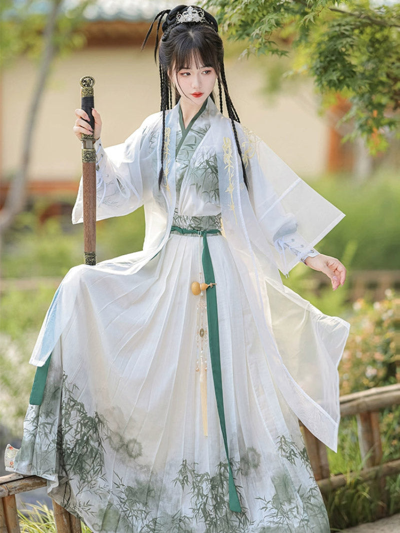 Wei Jin Dynasty Qiyao Ruqun Hanfu | Swordsman 少侠