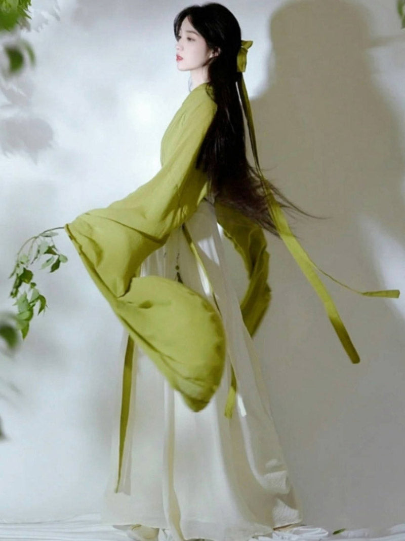 Wei Jin Dynasty Qiyao Ruqun Hanfu | Wanqing 挽卿
