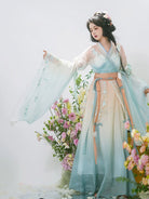 Wei Jin Dynasty Qiyao Ruqun Hanfu | Pear Blossom Fall